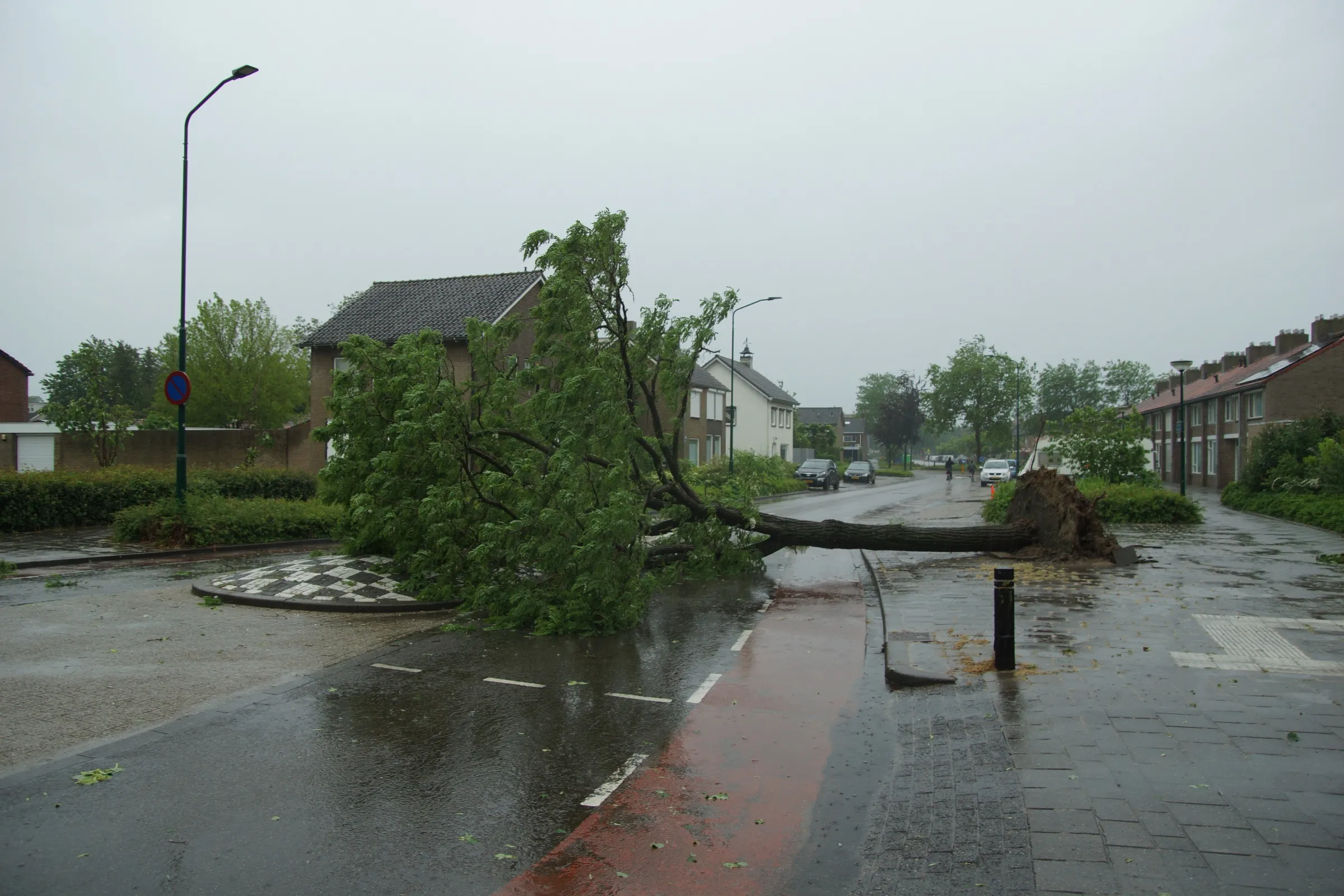 20220519122606 dsc09984