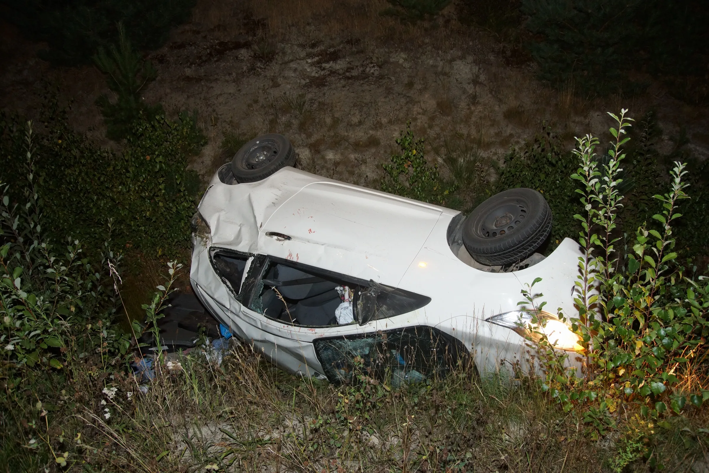 20220813235202 dsc03656