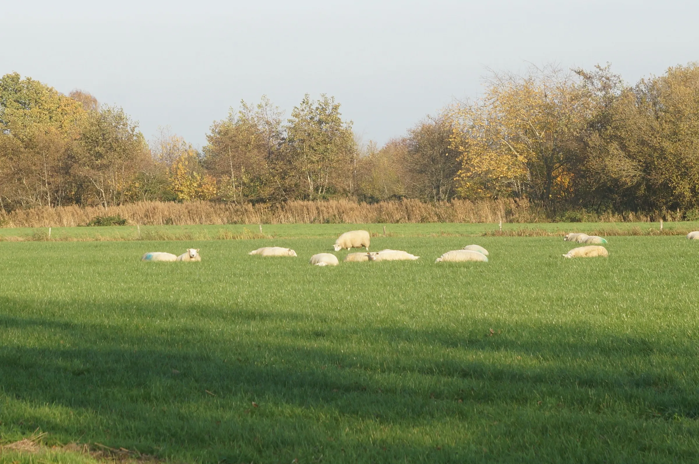 20221114141357 dsc08205