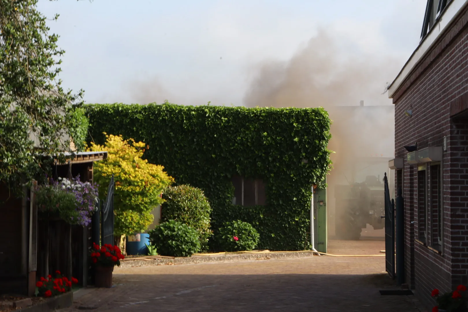 20230706093644 img 0108