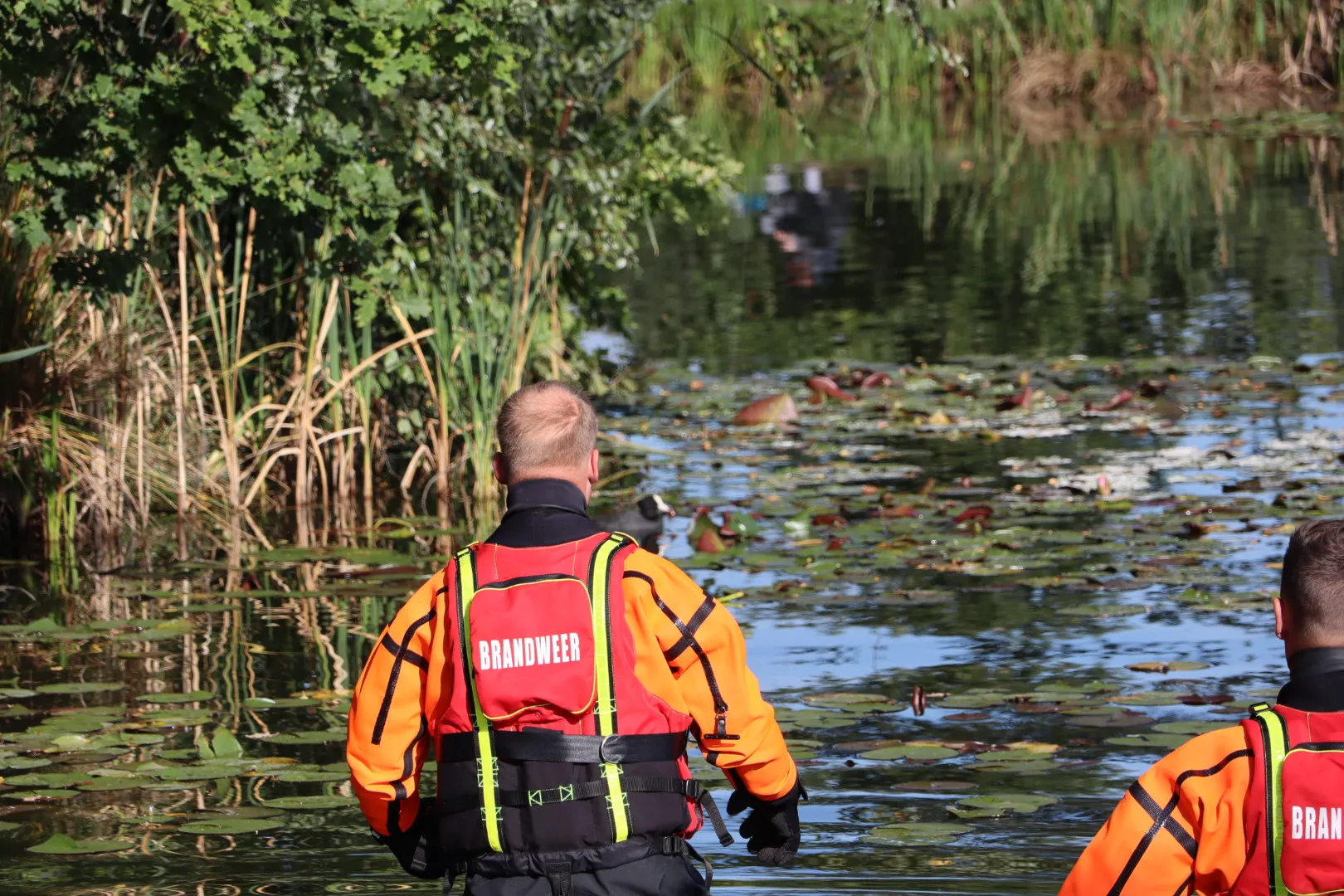 20231001115705 img 5276