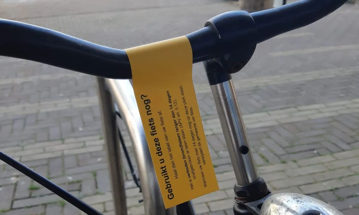 206227412 137332961828785 5310117987709813752 n