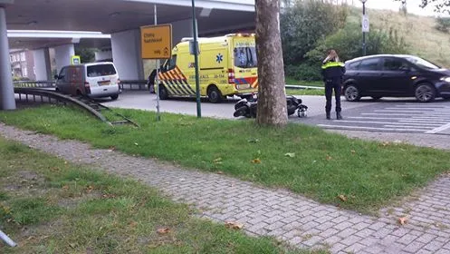 21979389 10207964926560781 1117901910 n