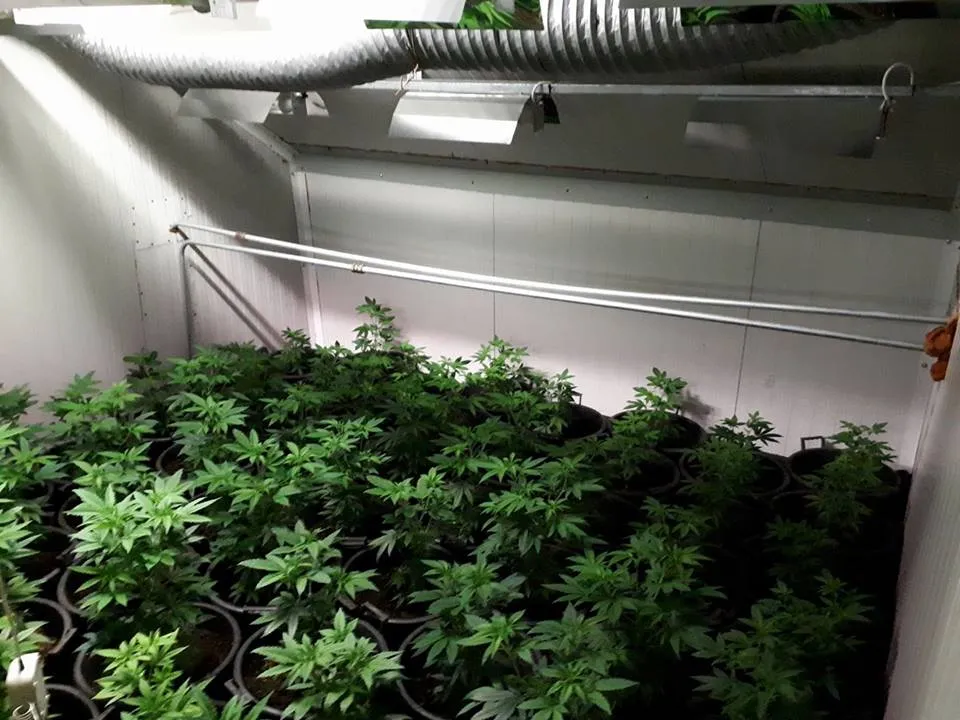 23843301 1901635996819275 298309681181594114 n