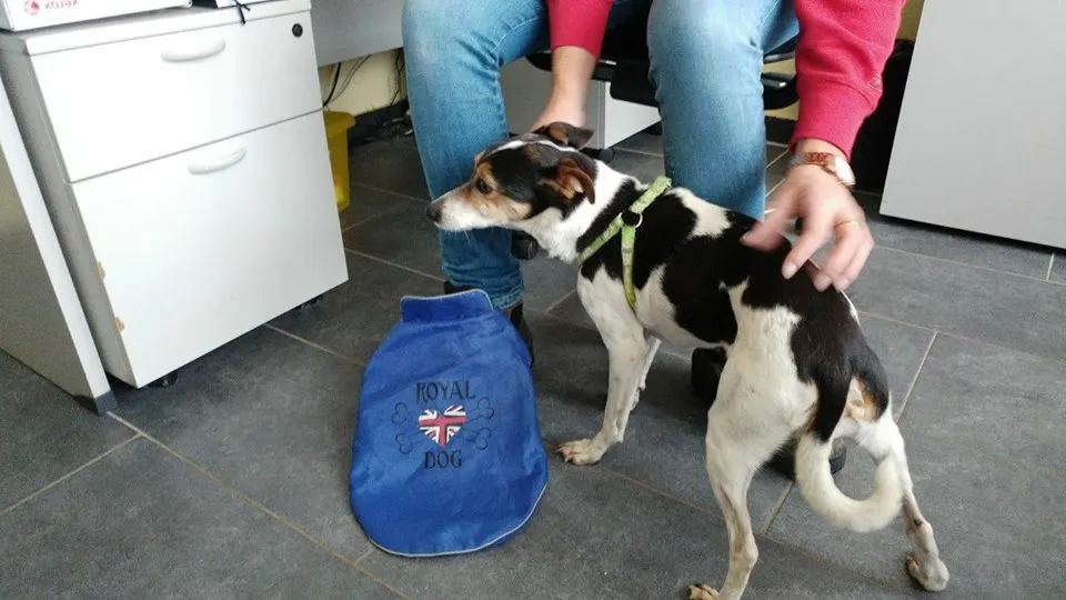 24177103 1959073281012174 1466699432250675541 n