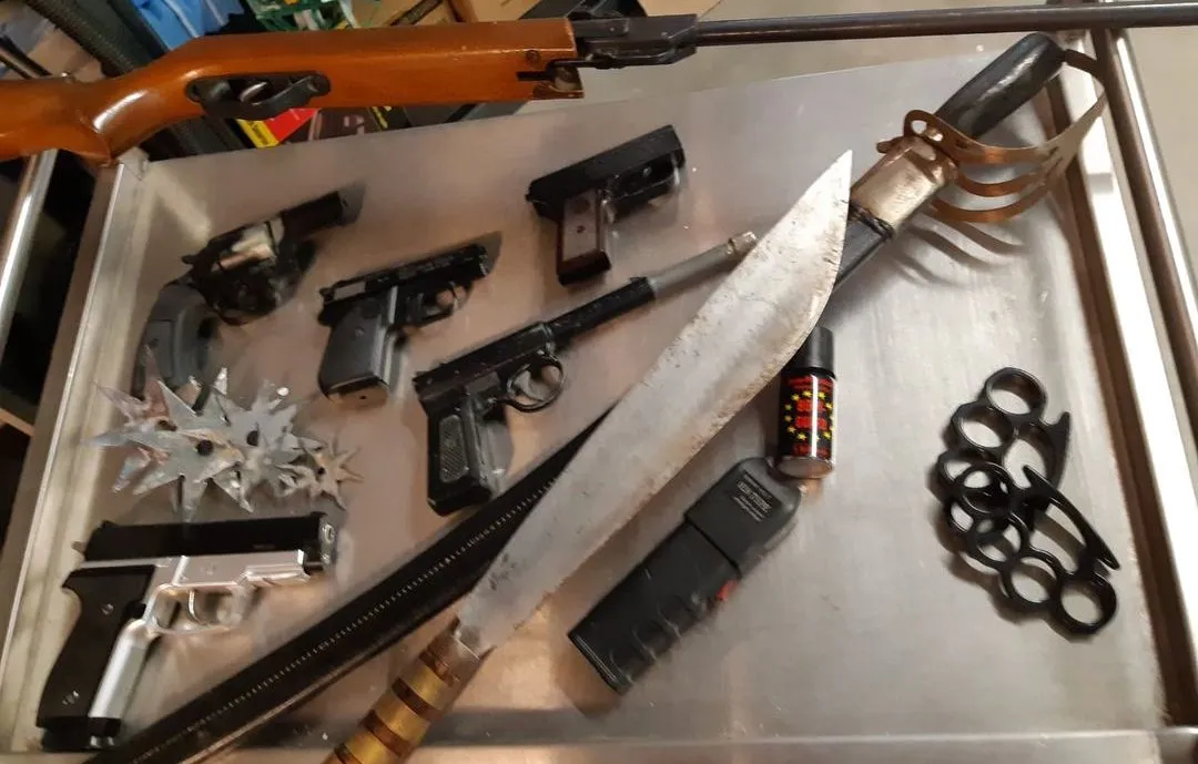 246413401 236439575183936 2529821669944660567 n