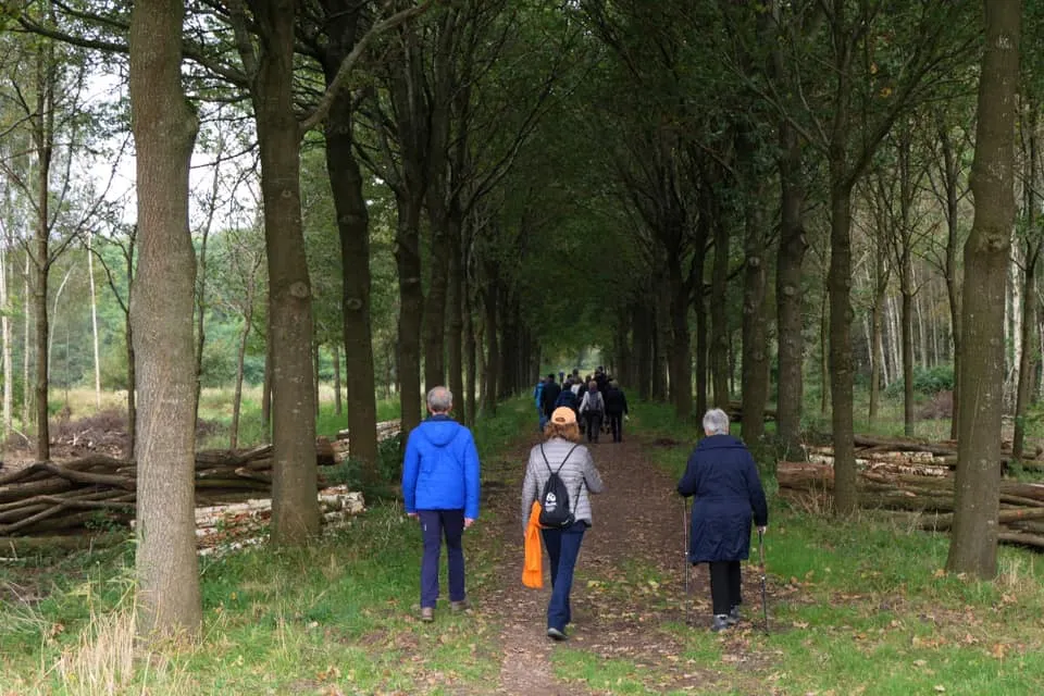 246588965 4397334107041313 1236718159316819092 n