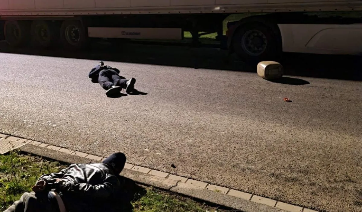 258851700 256230256538201 6887445872126939474 n