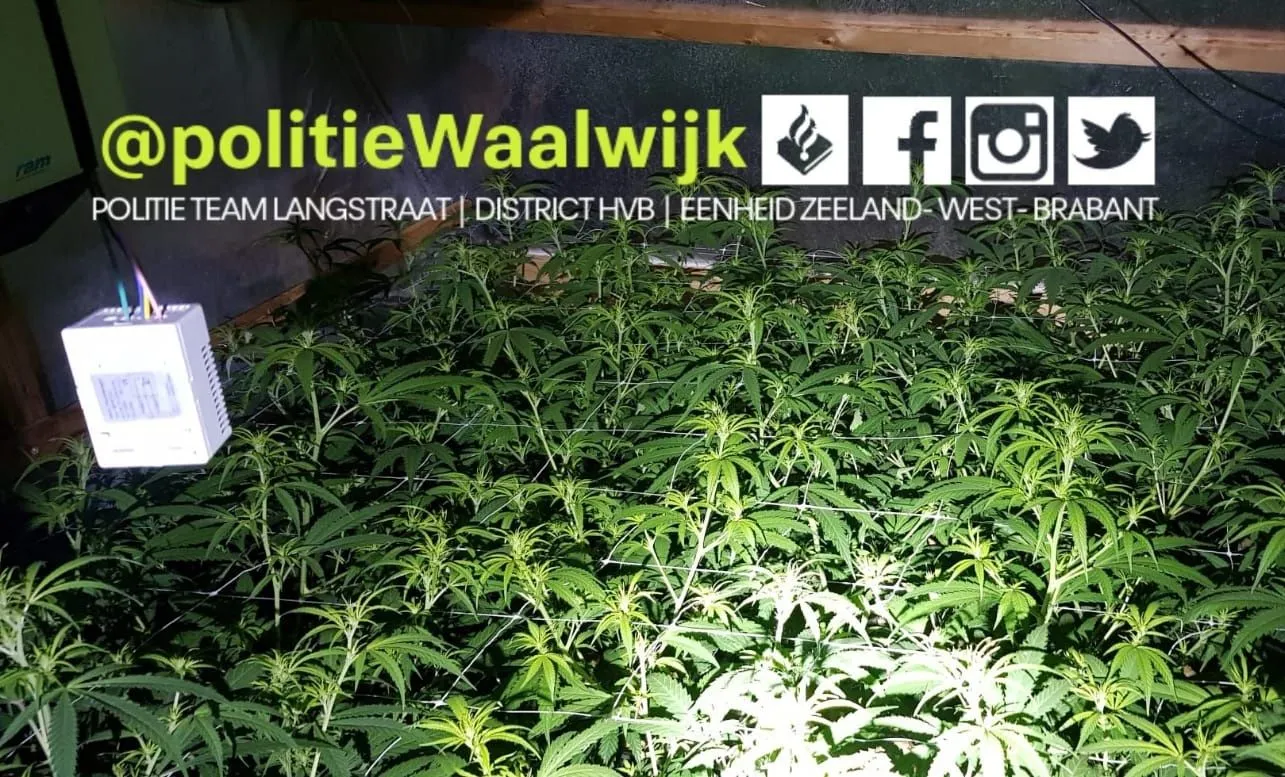 260374427 259282686232958 7185685622804772122 n 1