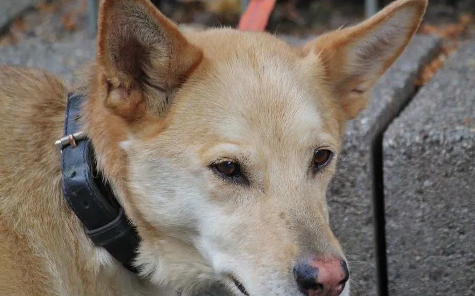 26167337 878832078943445 4841858347888840201 n