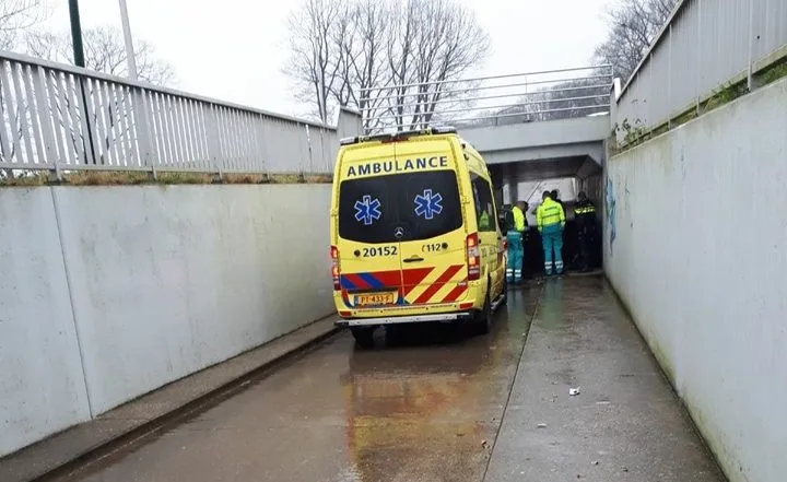 26734410 1928943614088513 9062325787546271568 n