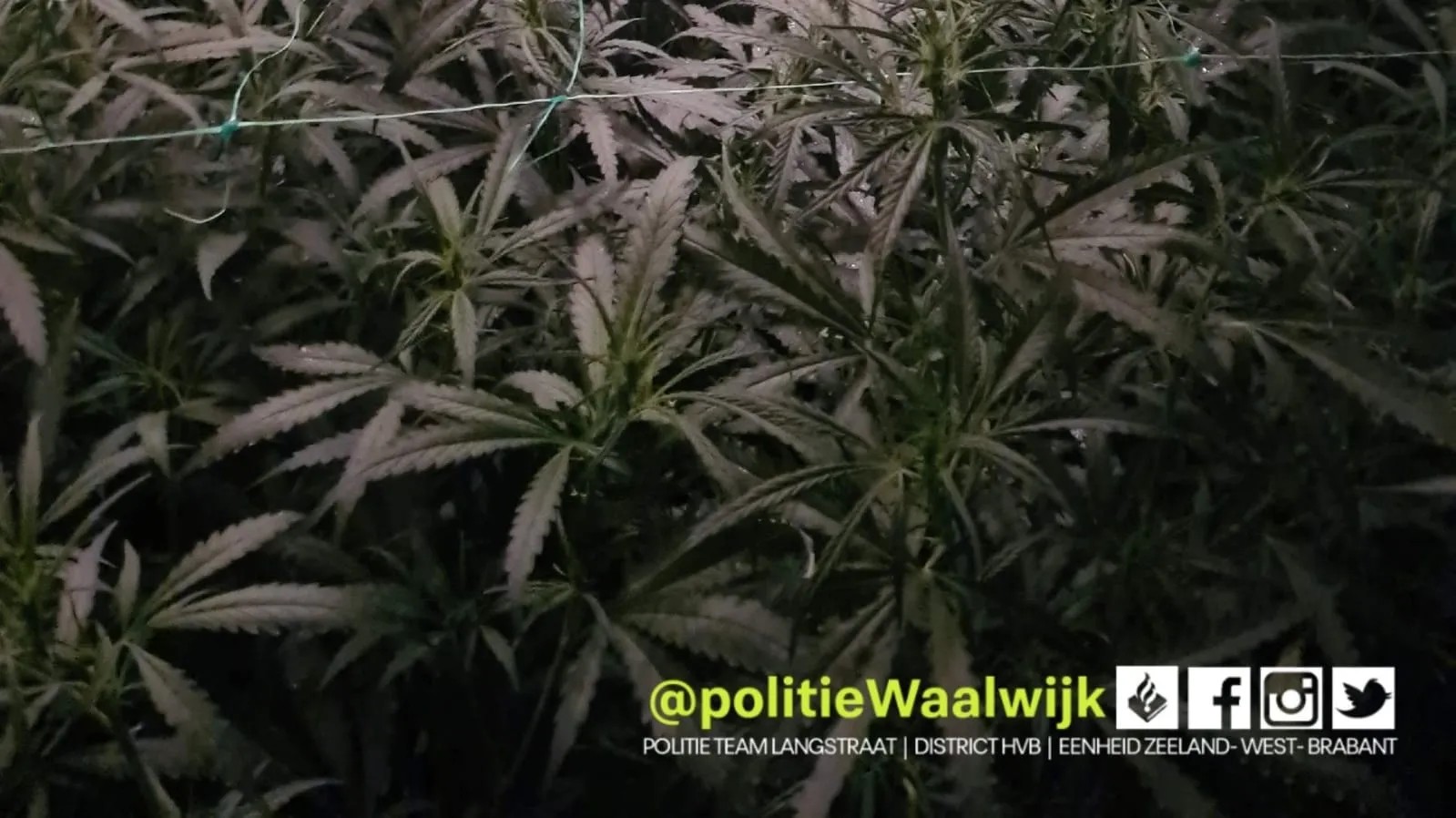 274154963 310852337742659 4402893034359439342 n