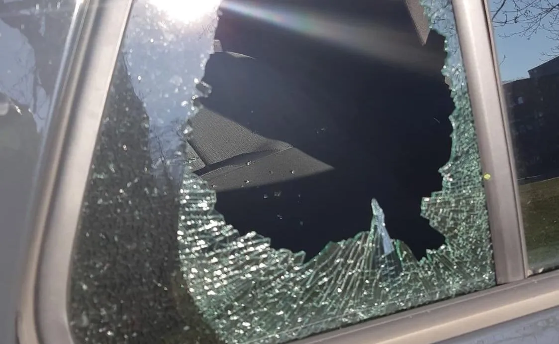 275664843 324192933075266 1667428352874788785 n