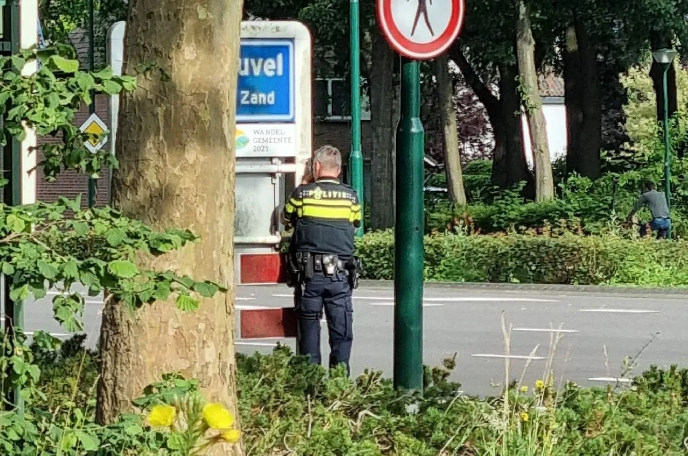 290141103 179391061122108 7455080897251649091 n