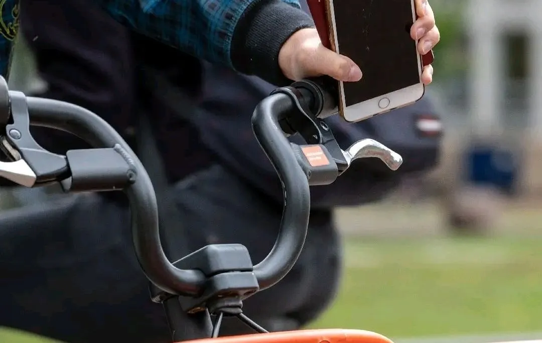 293549893 406441301517095 1848170367101827288 n