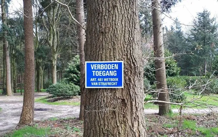 30713626 1492085297586971 1941678139549679616 n