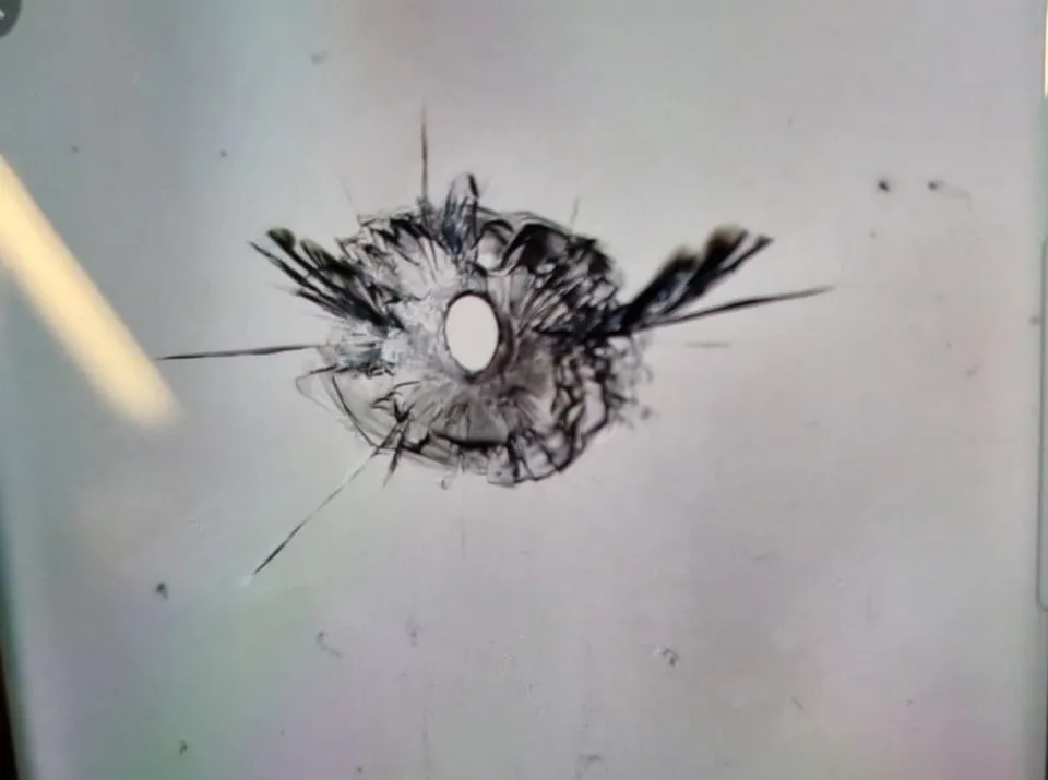 309208085 194936262900921 28995668752182932 n