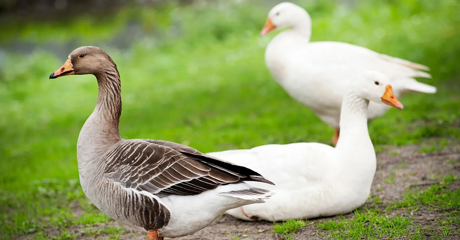 313002653 483199413839338 3225442021212310178 n