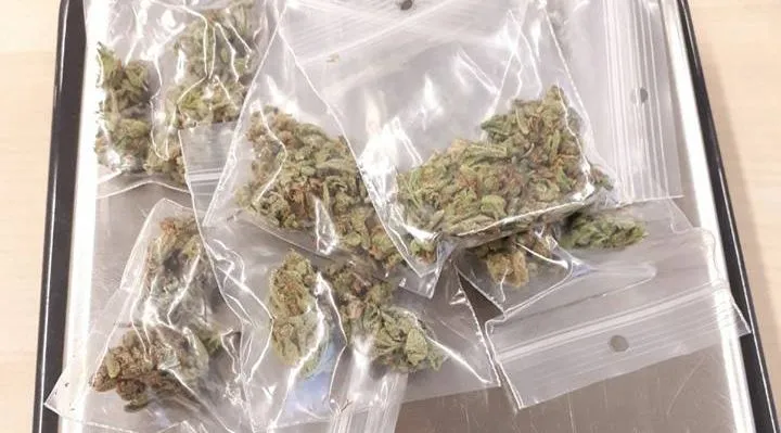 31301823 1498532346942266 2170721959397031936 n