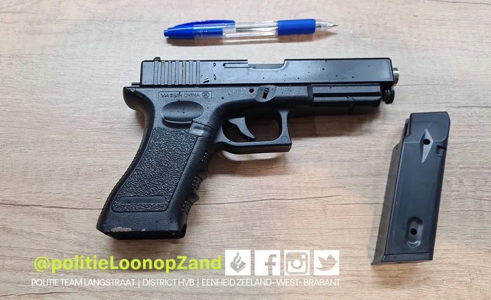 313423056 201834338877780 2547012027112370165 n