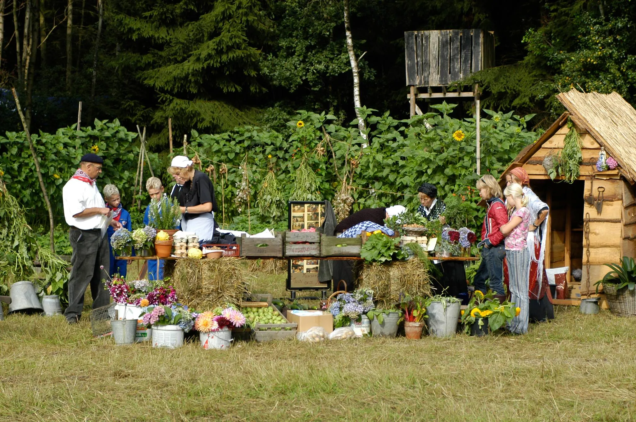 327150447 1518489048634788 8120350762073890739 n