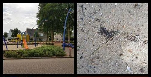 37979105 1015062181987100 5281849165989543936 naa