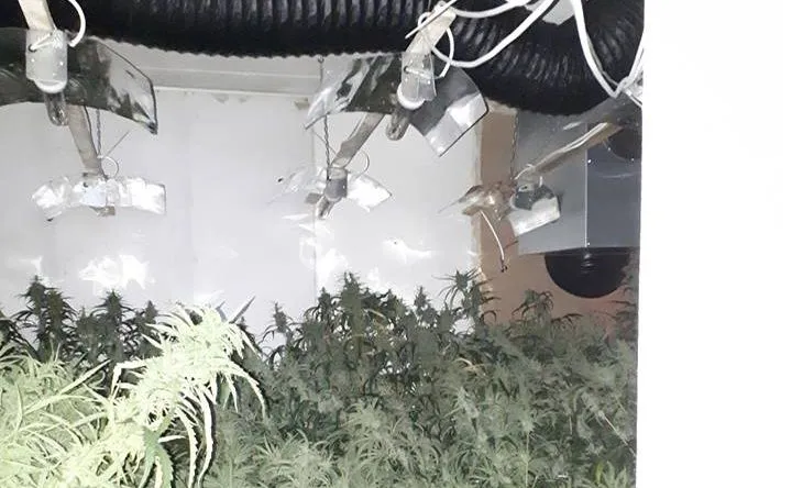 38821357 1629100460552120 3846651754875715584 n