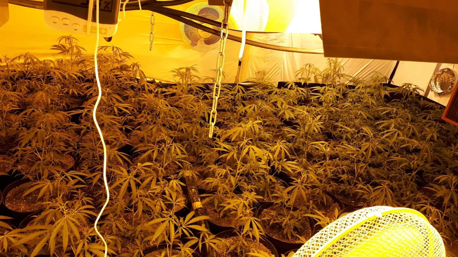 48982085 1823498237779007 8468197137019043840 o