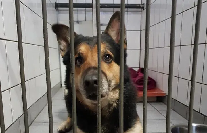 49536039 2383441625212723 930001084057911296 n