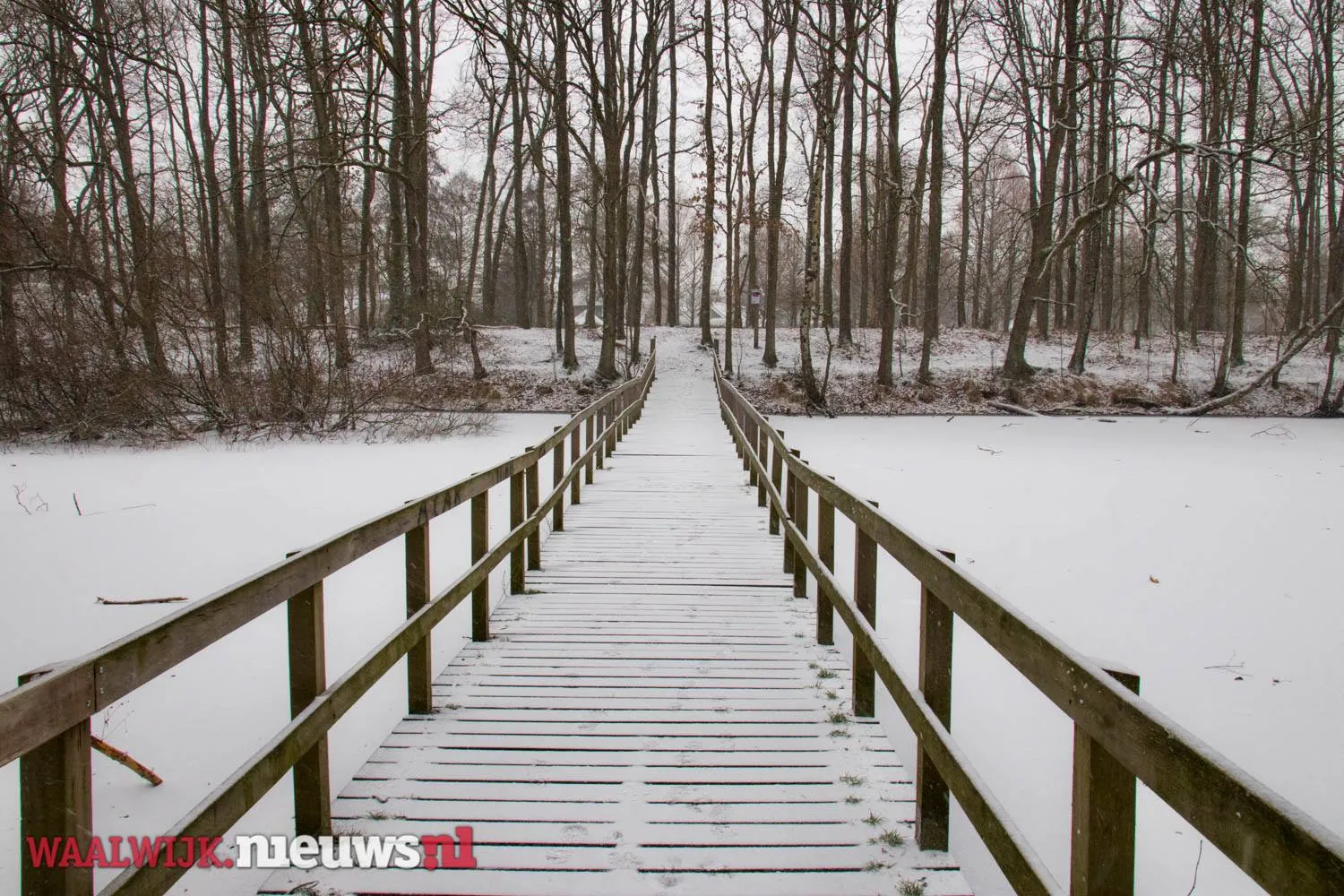 51014144 1692740090826960 9217312482245214208 o