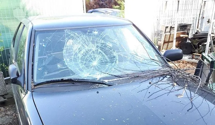 66191238 2098842536911241 2613808669896212480 n