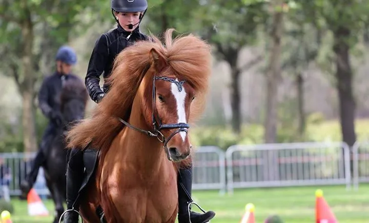 70954822 1106733896192060 5462890301033021440 n