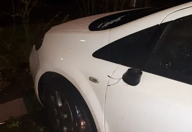 87457241 2569016419893848 9113389022599708672 o