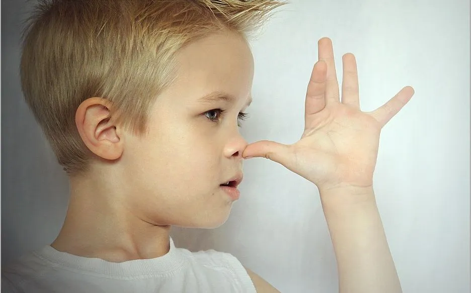 bengel 187697 960 720