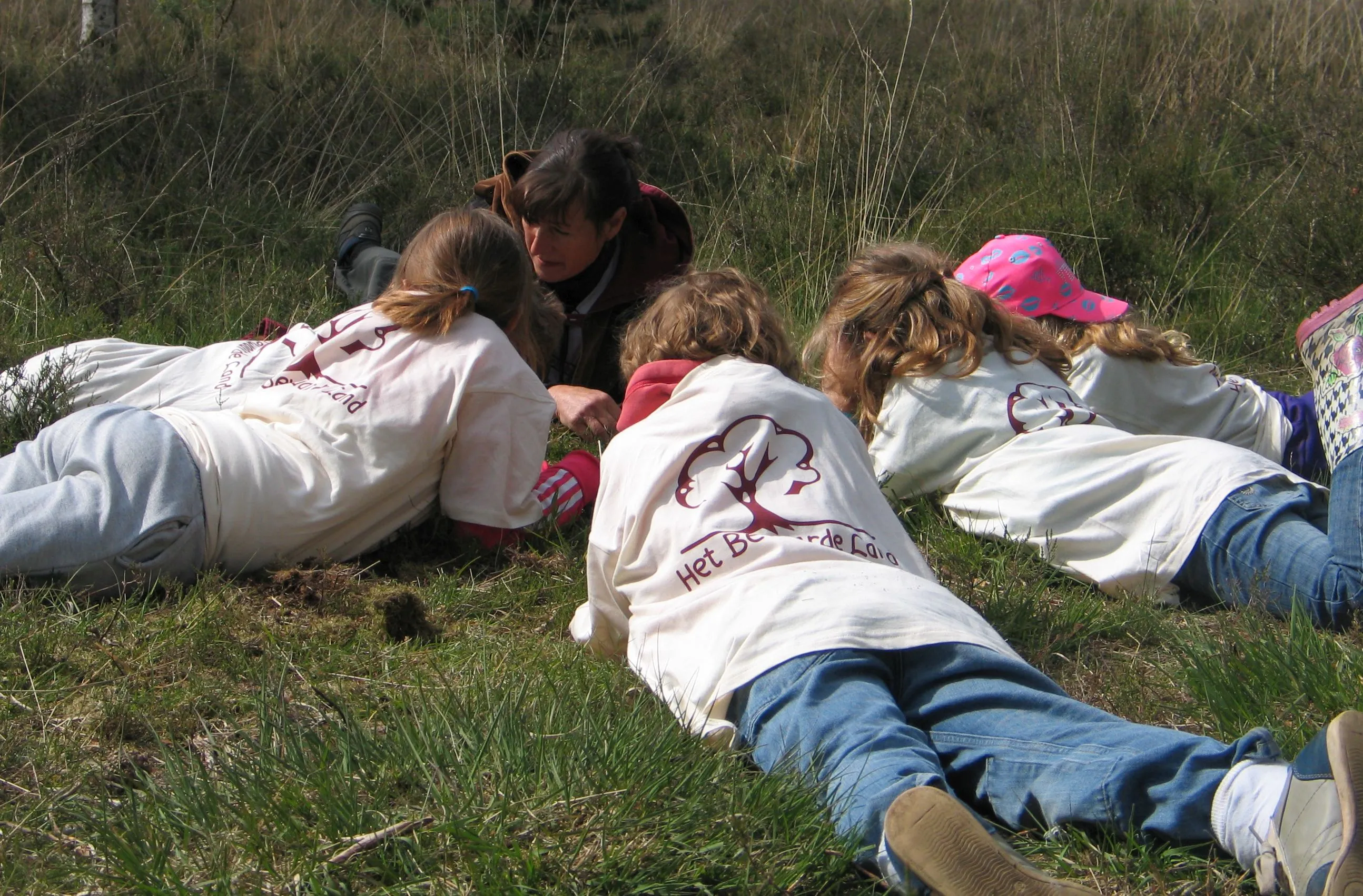 bewaarde land vol concentratie