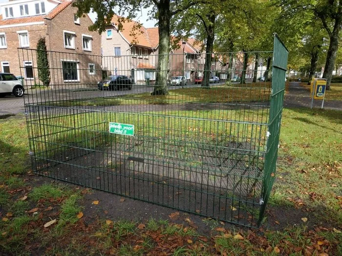 bladkorf