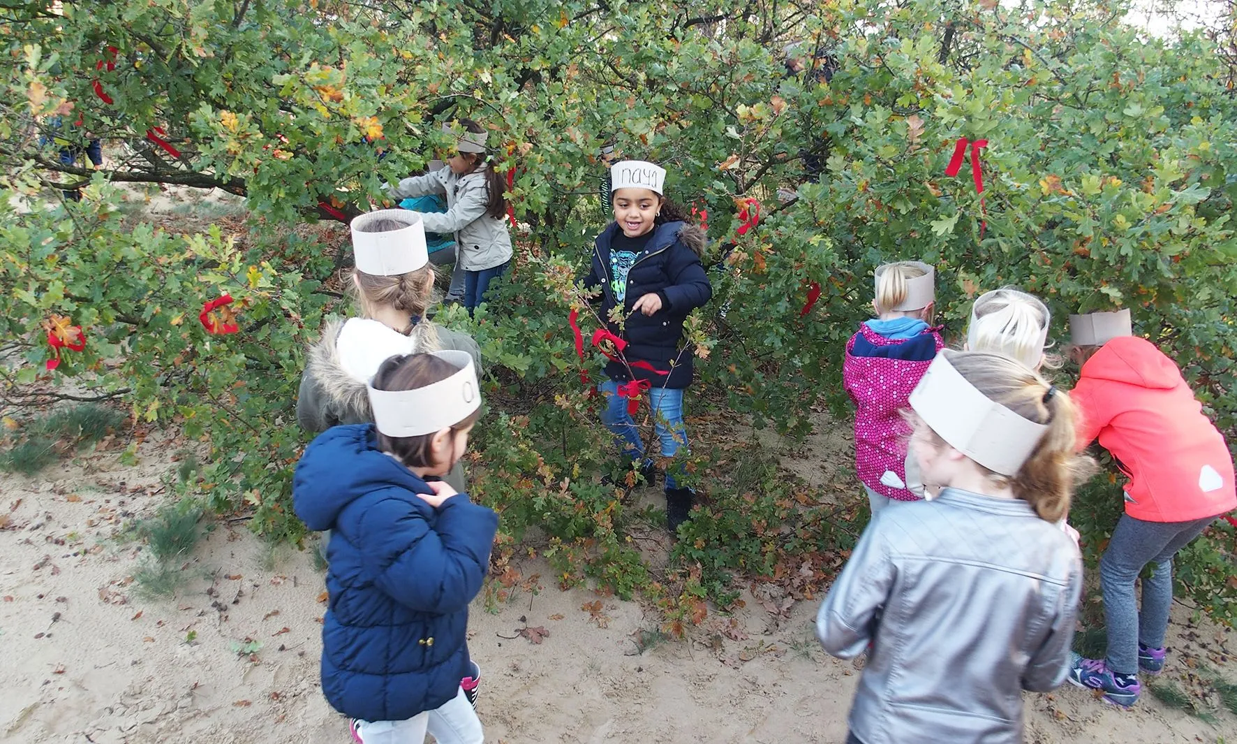 boom versieren met rode linten c ivn brabant