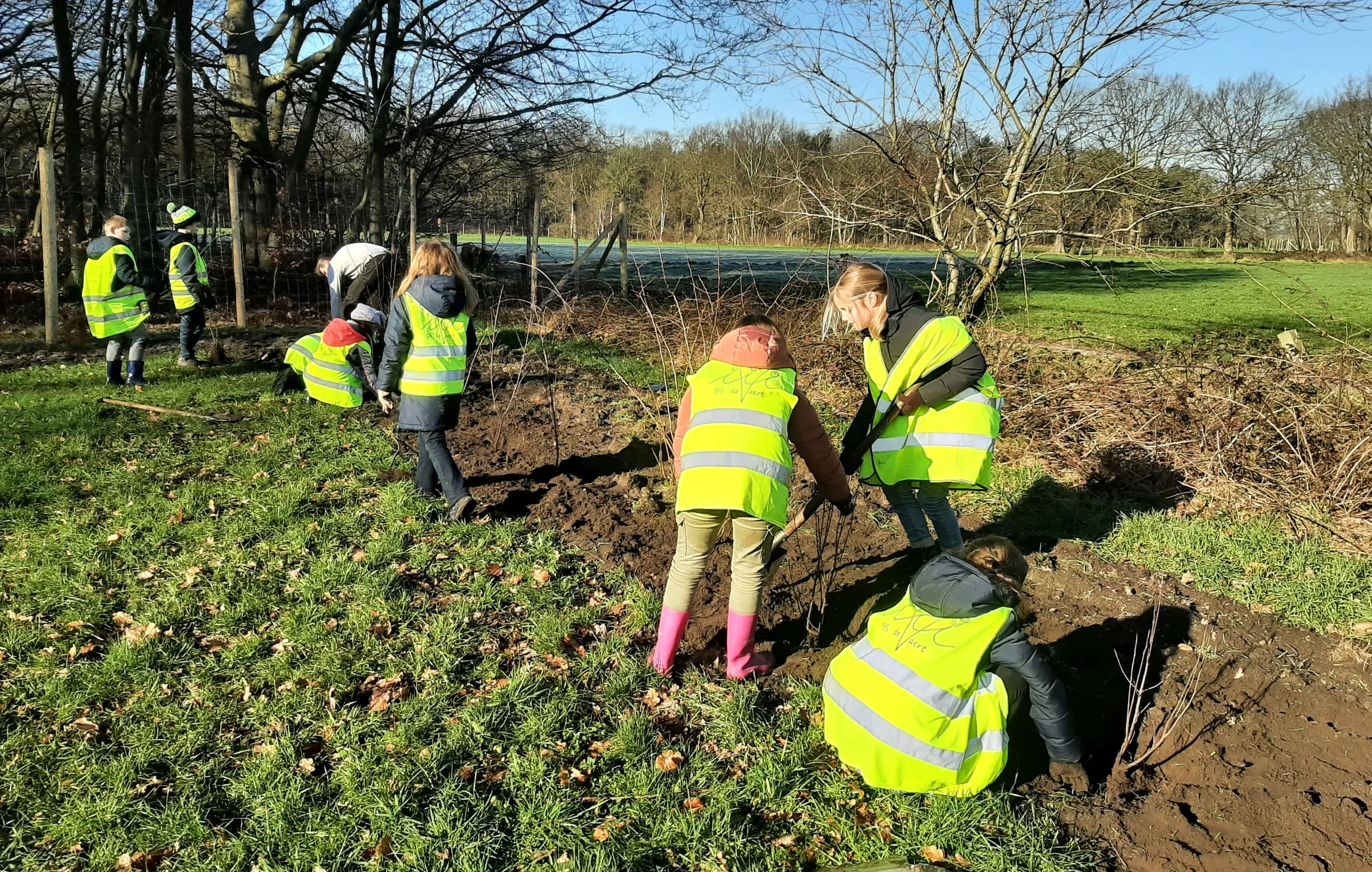 boomplantingjuniper20230207