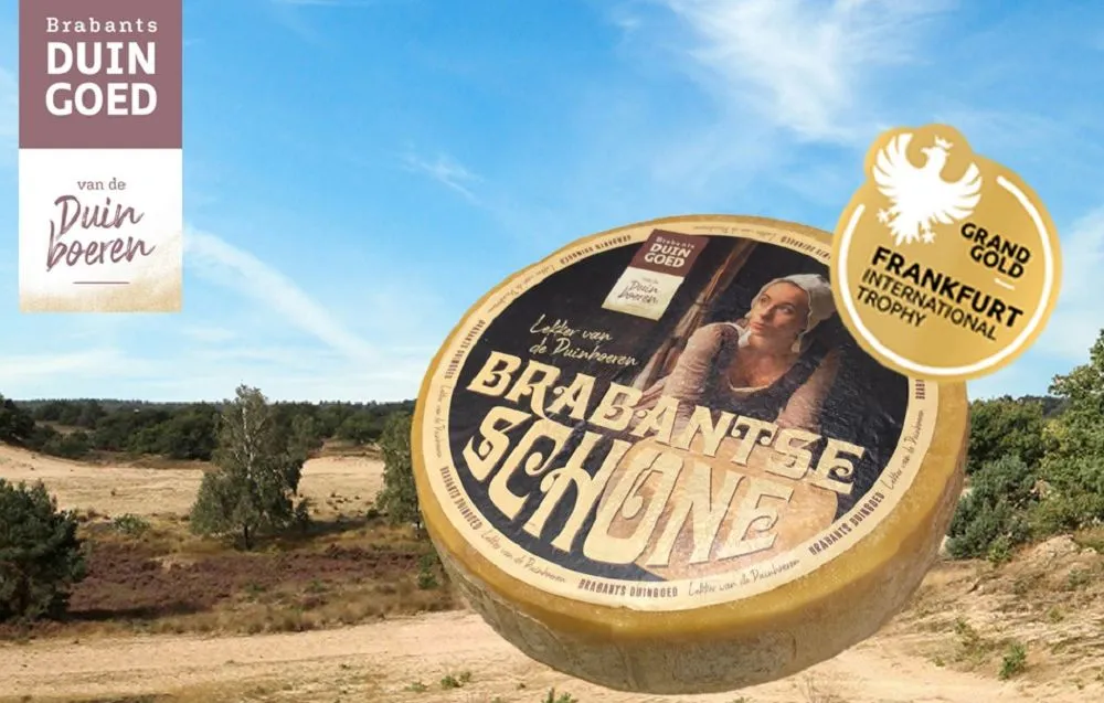 brabantse schone duinen liggend