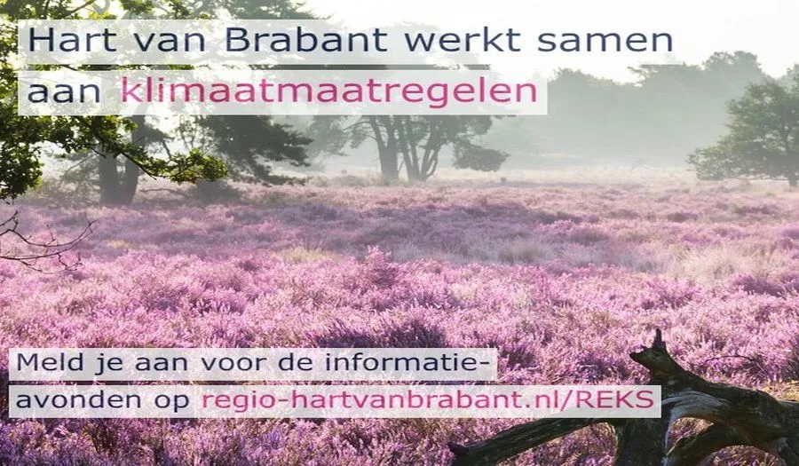 csm 8 reks regionale informatiesessie 6 4723a5fe45