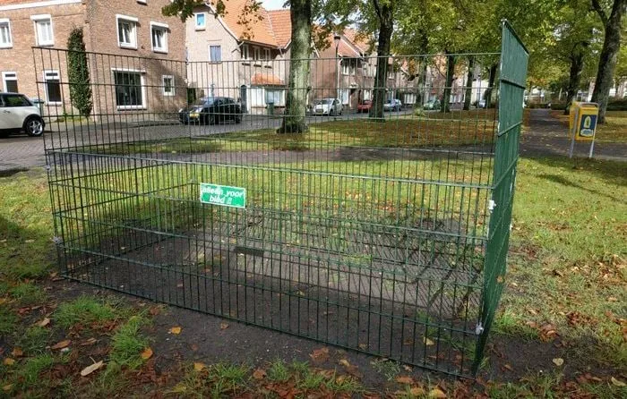 csm bladkorven eigen foto loz 7011b04c37