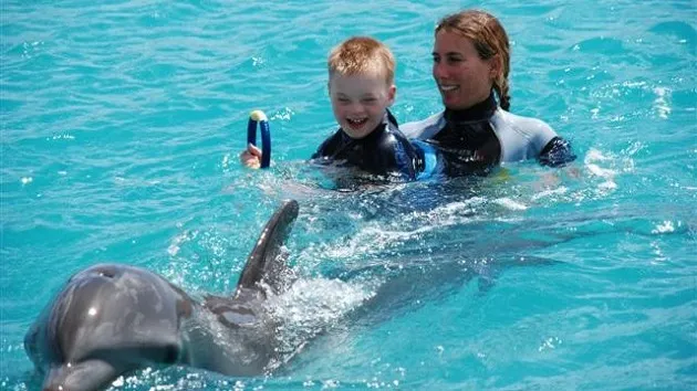 dolfijntherapie stichting tess