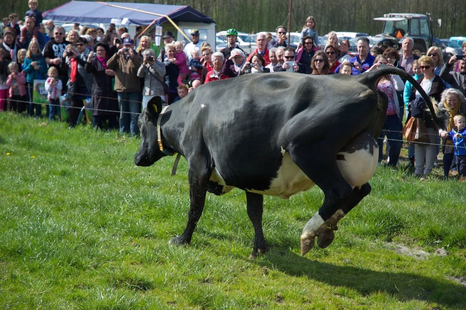 dsc 1734