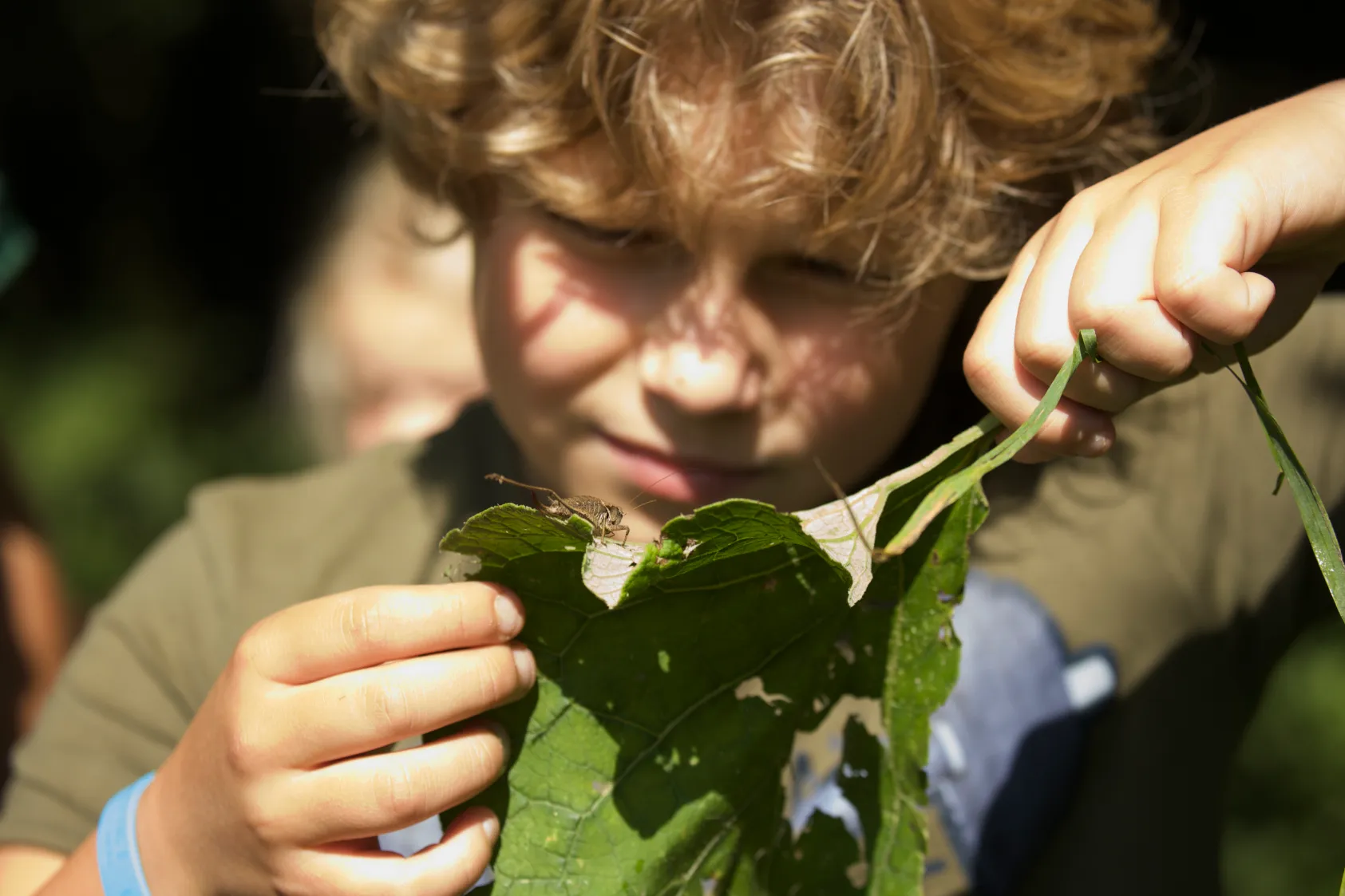 efteling samenwerkingivn2