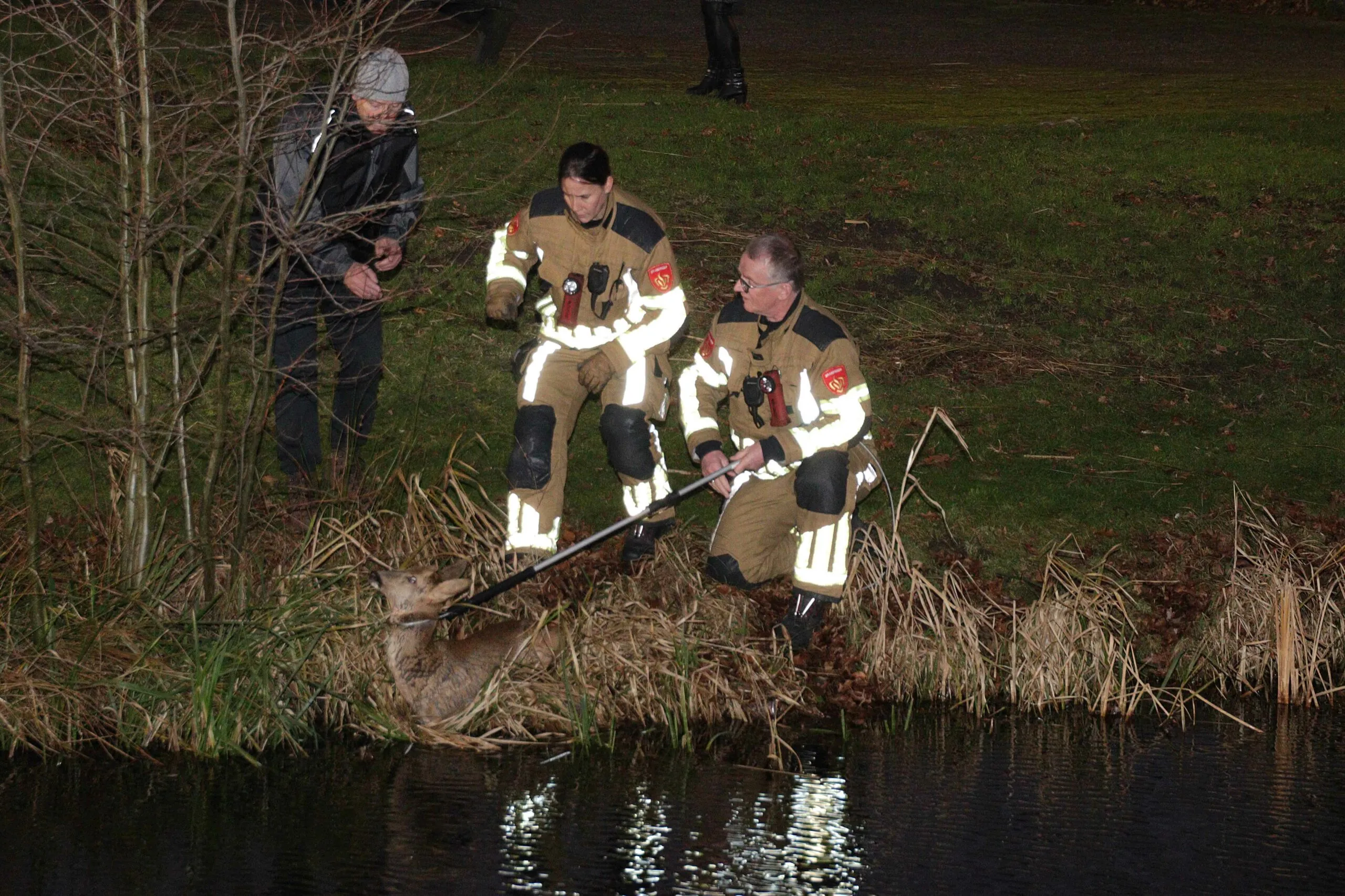 foto 5kopie 1 scaled