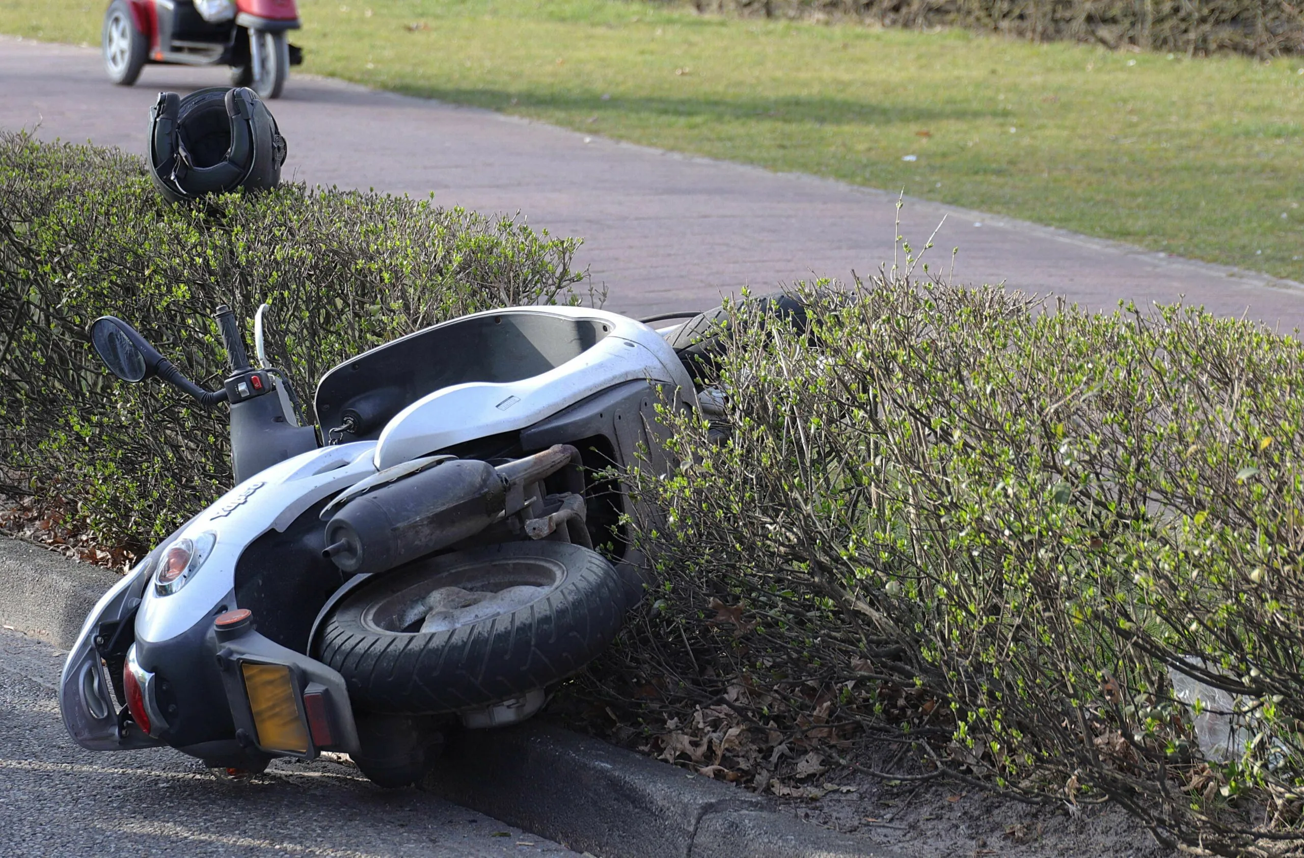 foto 7kopie 1 scaled