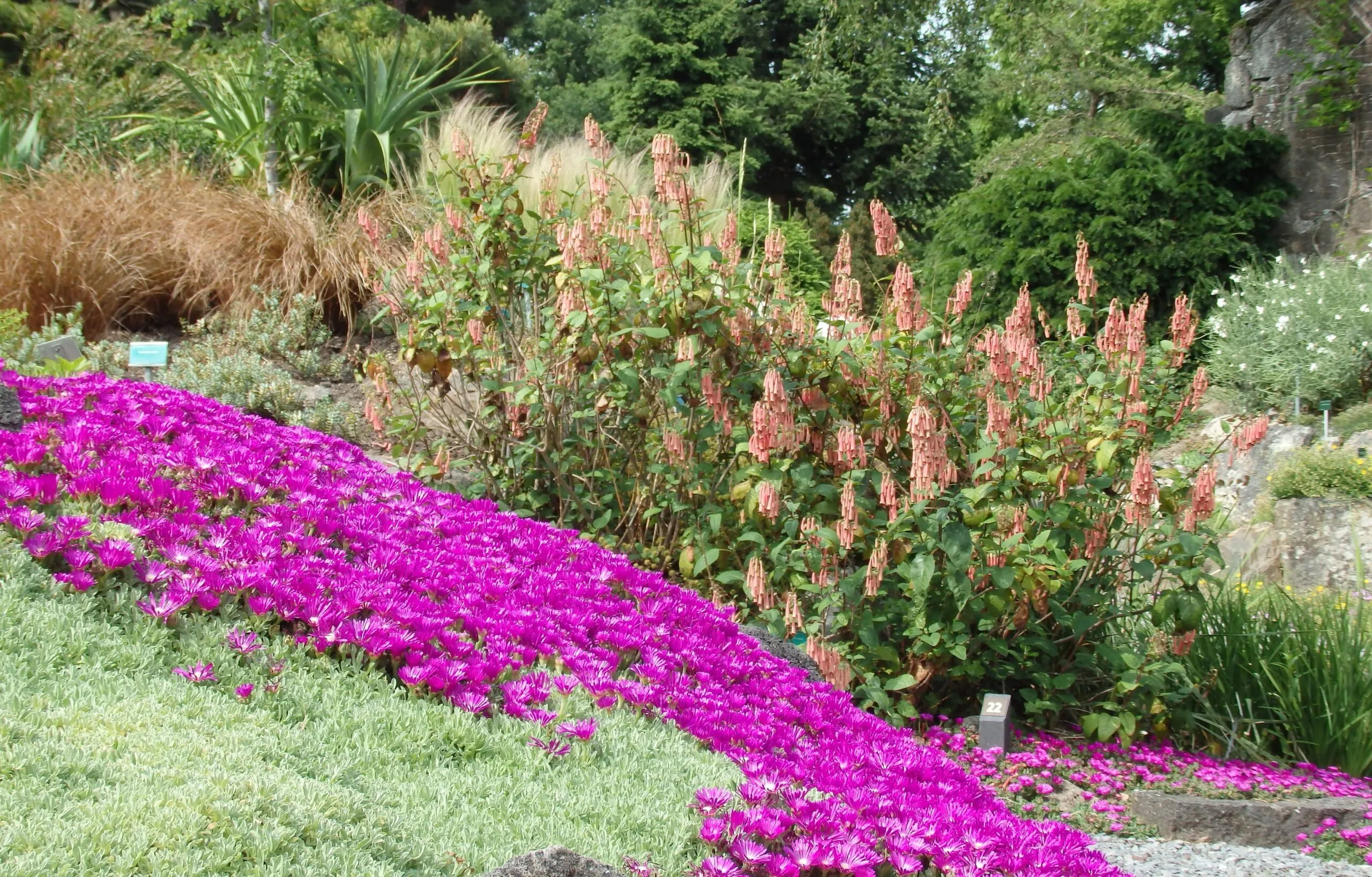 foto hoe hard is winterhard scaled