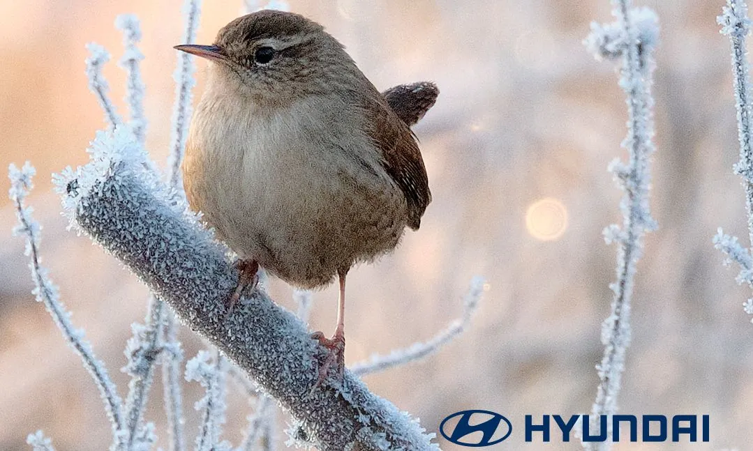 hdd422 01 post winterinspectie2023 fb 1080x1080 1