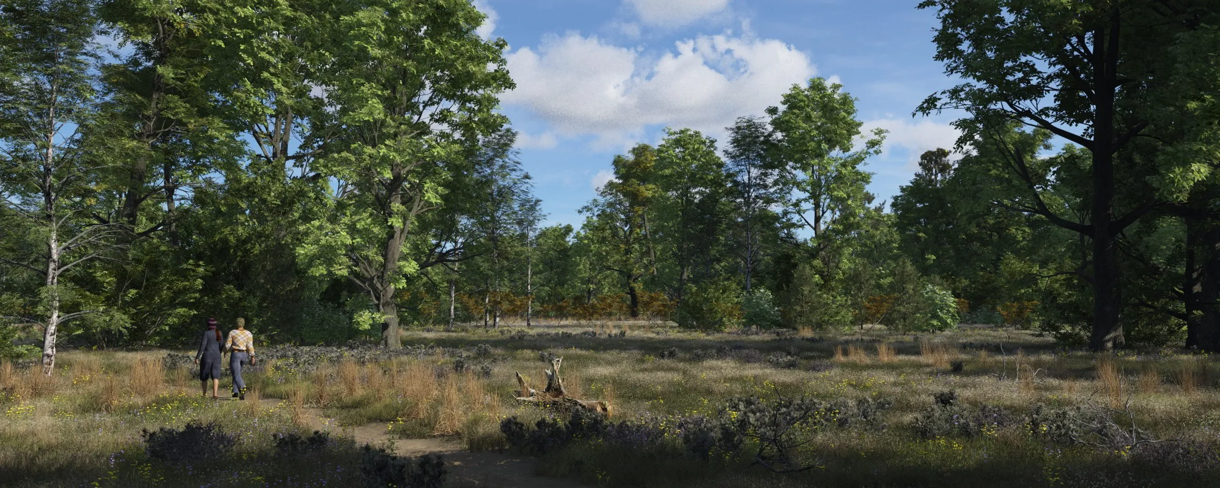huis ter heide
