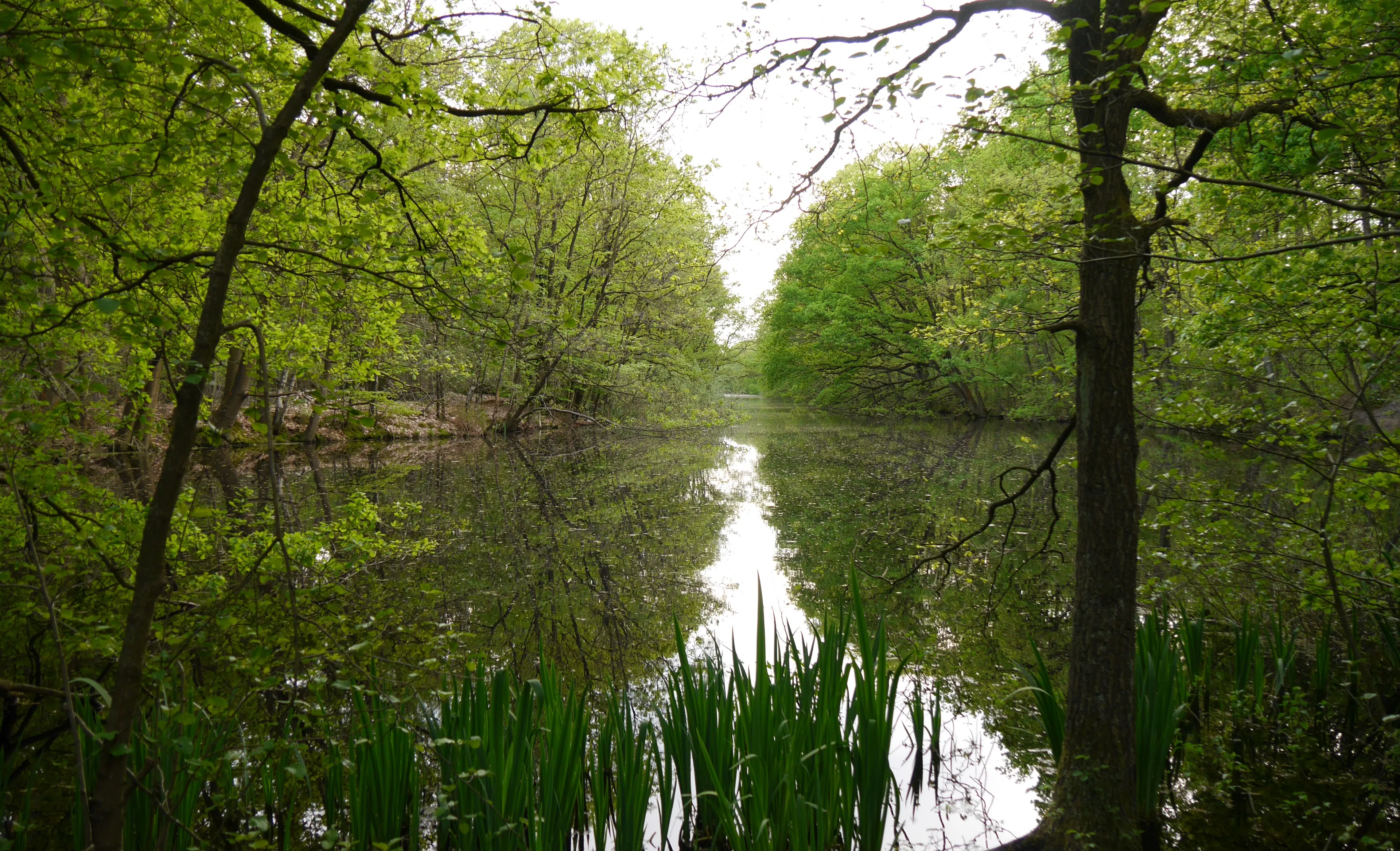 landgoed plantloon